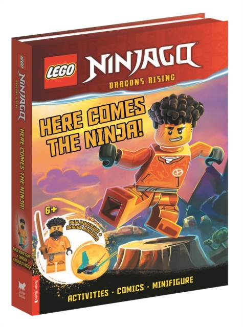 Book cover of MINI LQB LEGO(R) NINJAGO 2024