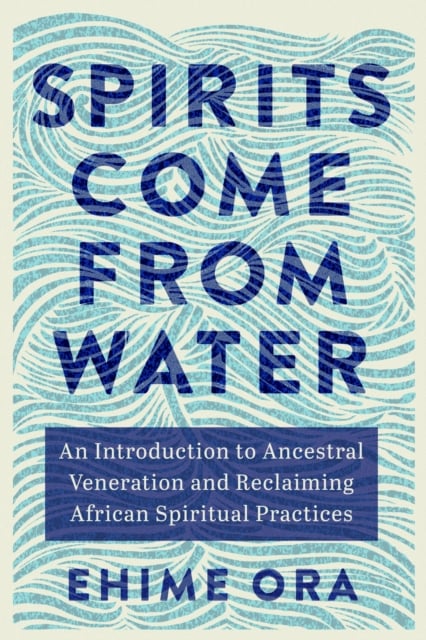 Book cover of Spirits Come from Water