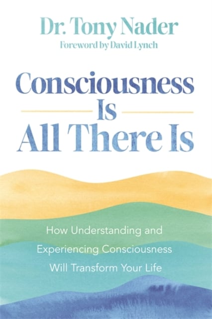 Book cover of Consciousness Is All There Is
