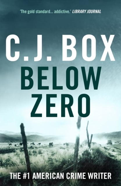 Book cover of Below Zero