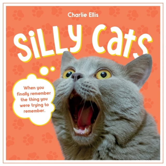 Book cover of Silly Cats