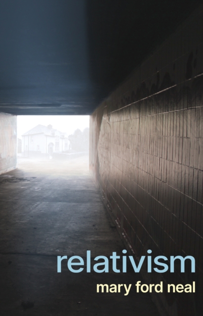 Book cover of Relativism