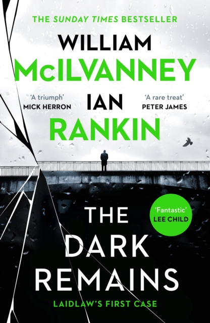 Book cover of The Dark Remains
