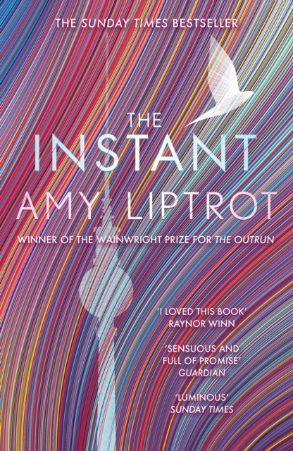 Book cover of The Instant