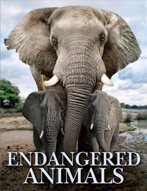 Book cover of Endangered Animals