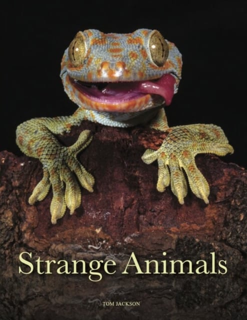 Book cover of Strange Animals