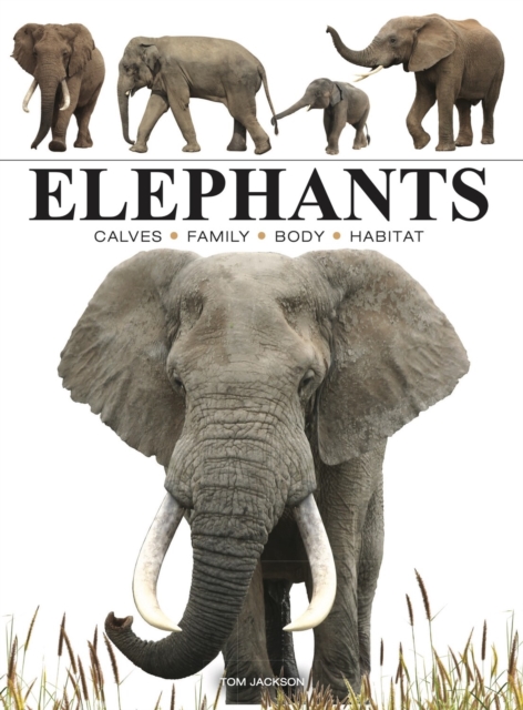 Book cover of Elephants