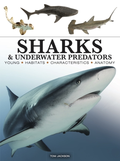 Book cover of Sharks & Underwater Predators