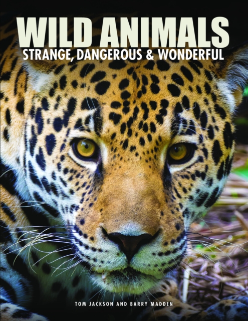 Book cover of Wild Animals