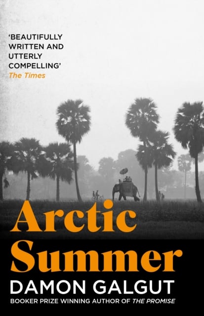 Book cover of Arctic Summer