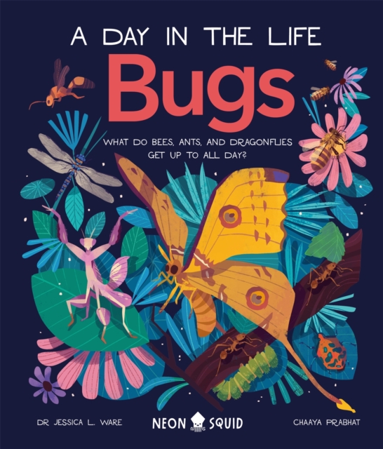 Book cover of Bugs (A Day in the Life)
