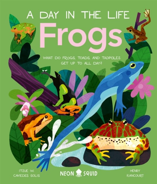 Book cover of Frogs (A Day in the Life)