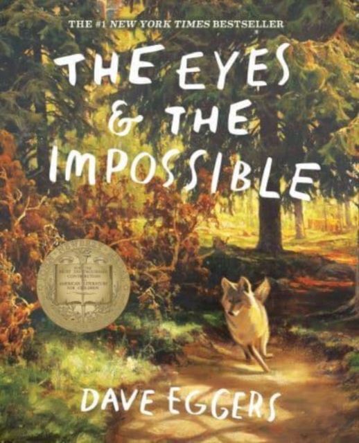 Book cover of The Eyes and the Impossible