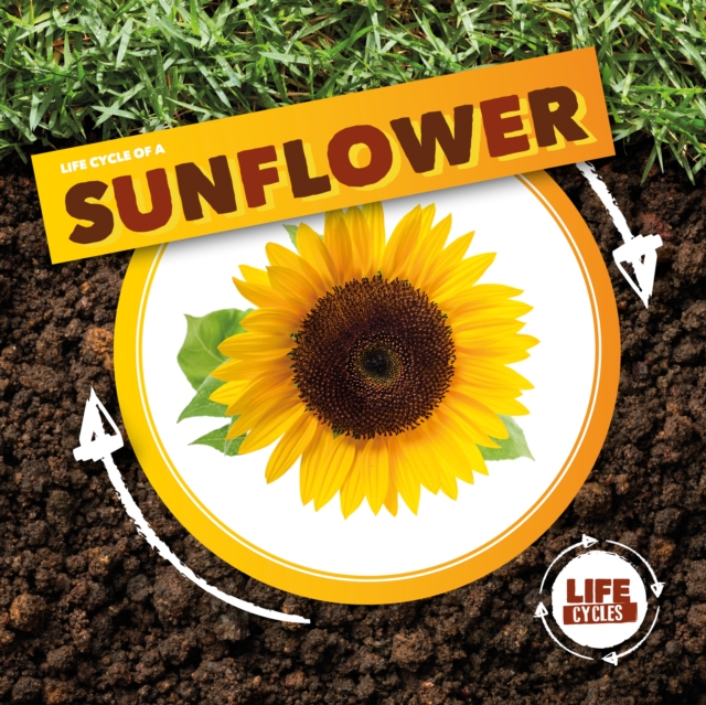 Book cover of Life Cycle of a Sunflower