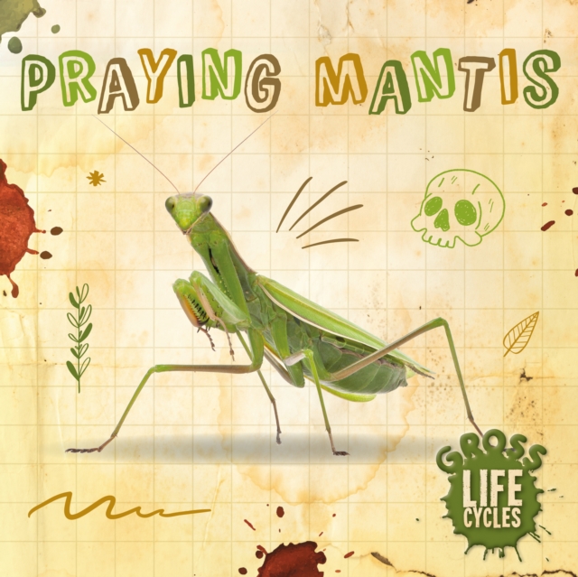 Book cover of Praying Mantis