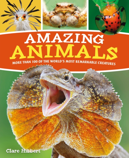 Book cover of Amazing Animals