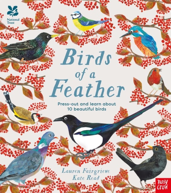 Book cover of National Trust: Birds of a Feather: Press out and learn about 10 beautiful birds