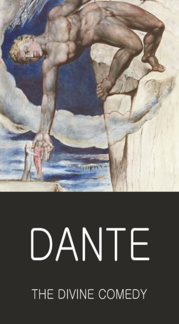 Book cover of The Divine Comedy