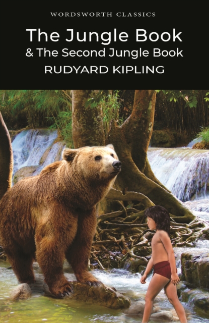 Book cover of The Jungle Book & The Second Jungle Book