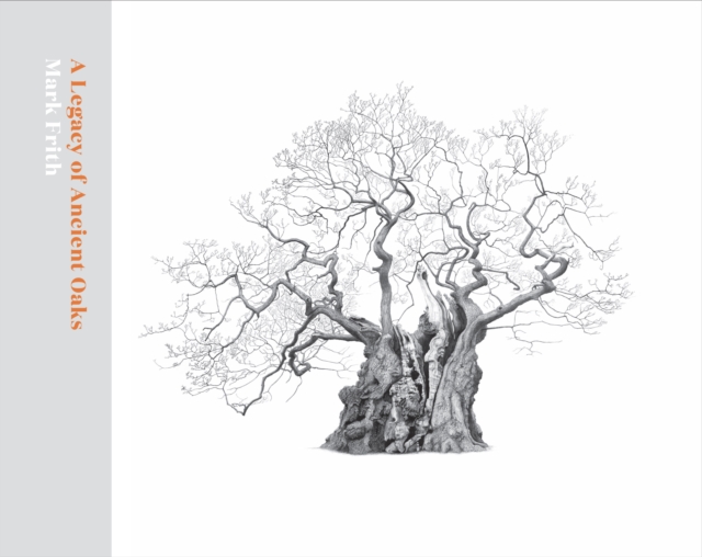 Book cover of A Legacy of Ancient Oaks