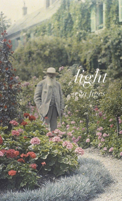 Book cover of Light