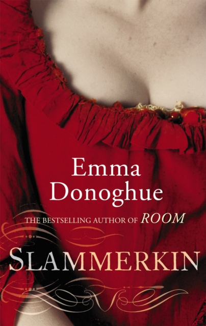 Book cover of Slammerkin