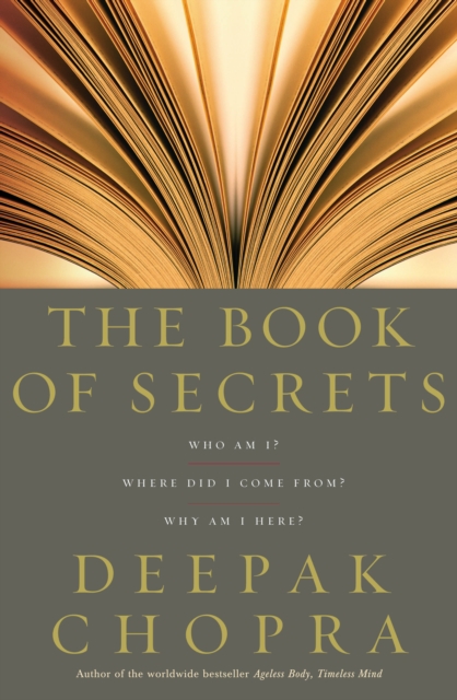 Book cover of The Book Of Secrets