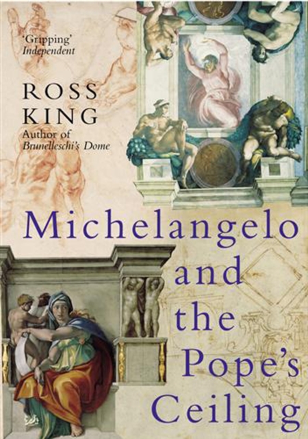 Book cover of Michelangelo And The Pope's Ceiling