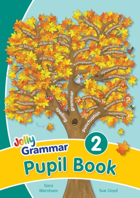Book cover of Grammar 2 Pupil Book
