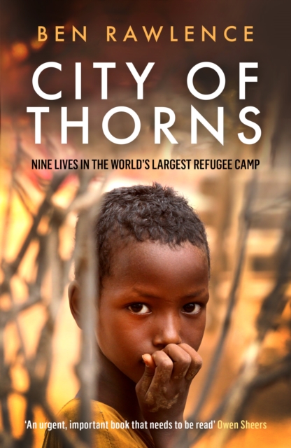 Book cover of City of Thorns