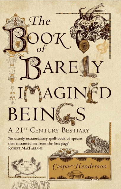 Book cover of The Book of Barely Imagined Beings