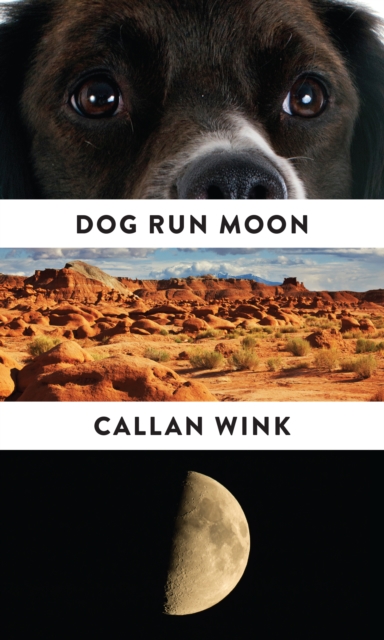 Book cover of Dog Run Moon