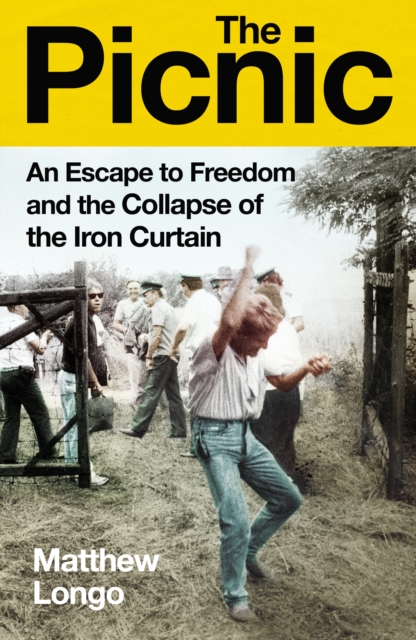 Book cover of The Picnic