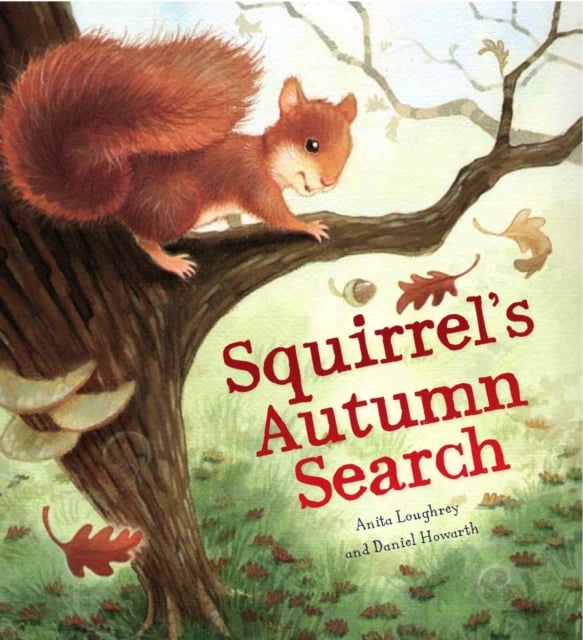 Book cover of Squirrel's Autumn Search