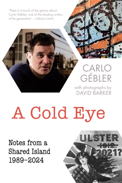 Book cover of A Cold Eye