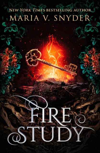Book cover of Fire Study