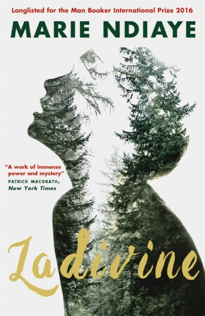 Book cover of Ladivine