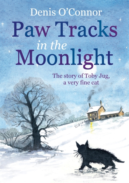 Book cover of Paw Tracks in the Moonlight