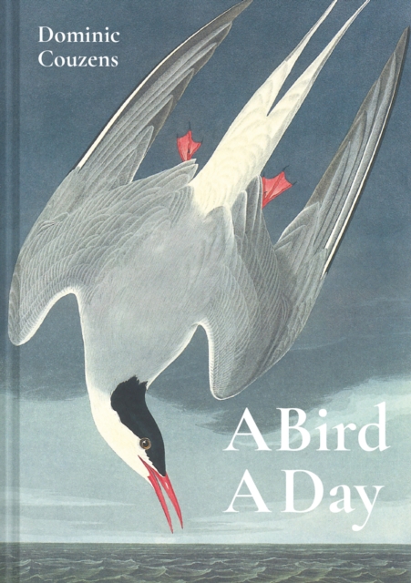 Book cover of A Bird A Day