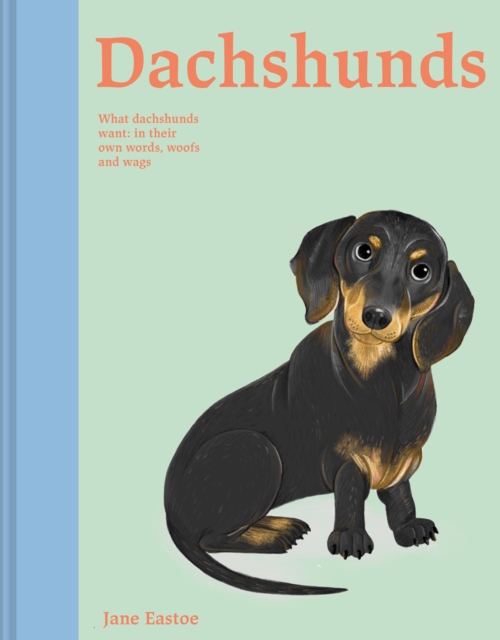 Book cover of Dachshunds