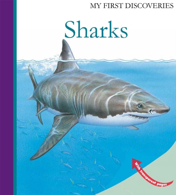 Book cover of Sharks