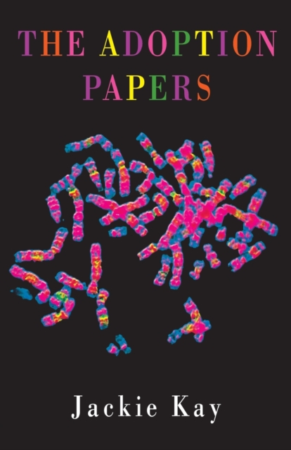 Book cover of The Adoption Papers
