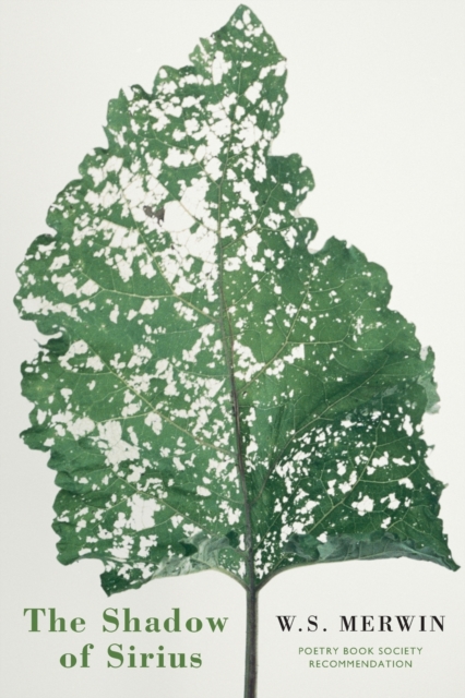 Book cover of The Shadow of Sirius