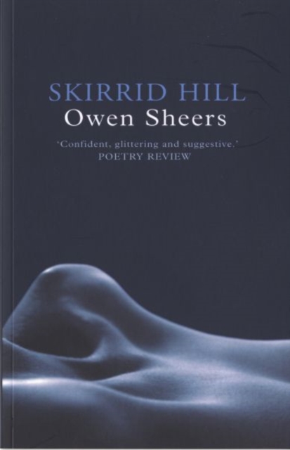Book cover of Skirrid Hill