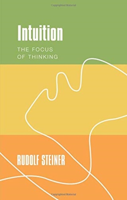 Book cover of Intuition