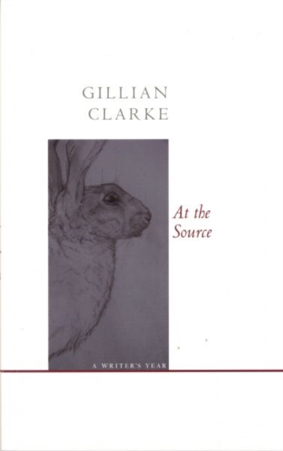 Book cover of At the Source