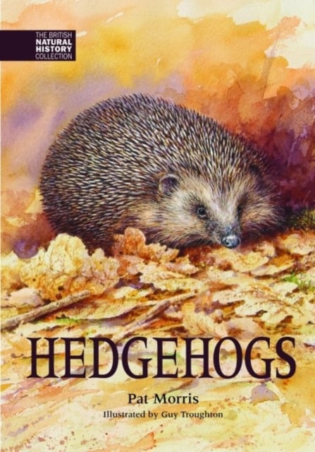 Book cover of Hedgehogs