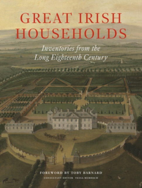 Book cover of Great Irish Households