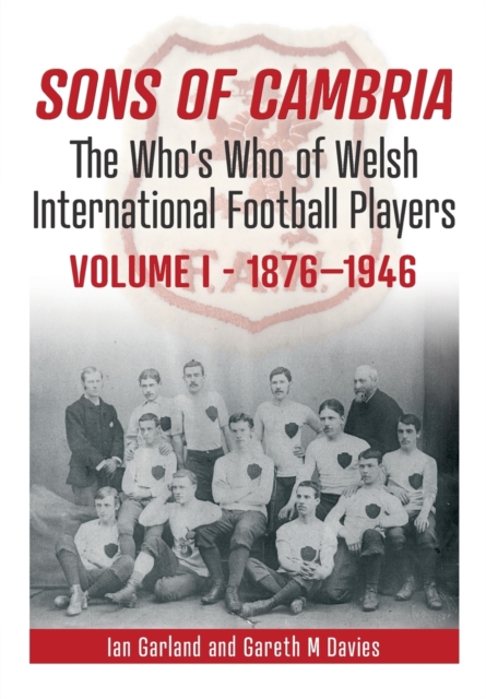 Book cover of Sons of Cambria