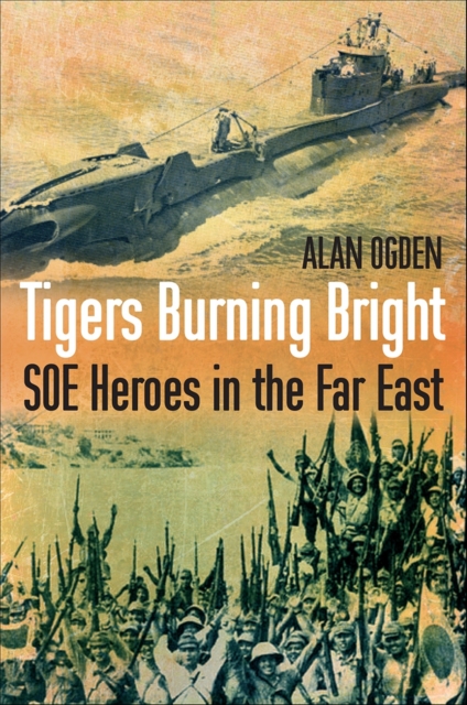 Book cover of Tigers Burning Bright